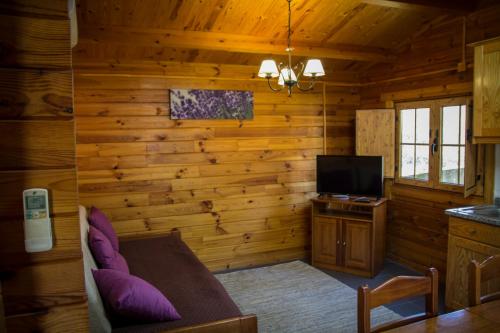 a living room with wooden walls and a tv at xisto camping in Janeiro de Baixo