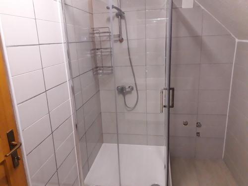 y baño con ducha y puerta de cristal. en Apartment Mrsinj en Korenica
