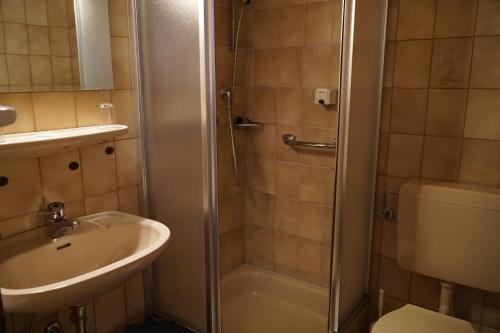 a bathroom with a shower and a sink and a toilet at Hotel zum Goldenen Ochsen in Maikammer
