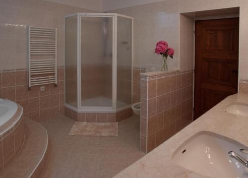 a bathroom with a shower and a sink and a toilet at Zámek Nové Město nad Metují in Nové Město nad Metují