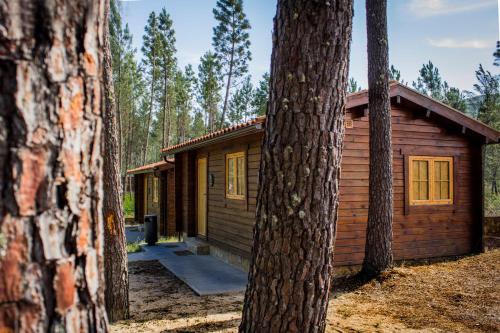 a cabin in the woods next to a tree at xisto camping in Janeiro de Baixo