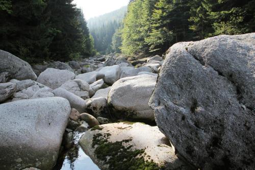 a group of large rocks on a river with trees at CHATA - SPORT - SKI in Kořenov