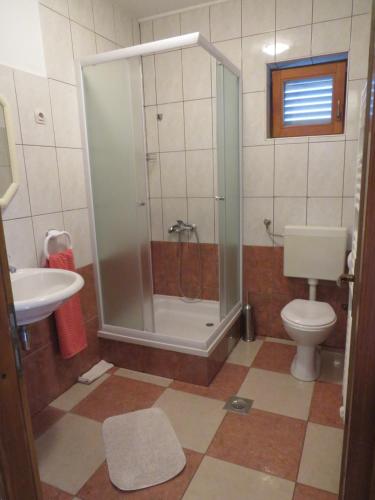 a bathroom with a shower and a toilet and a sink at Apartmani Prova in Tisno