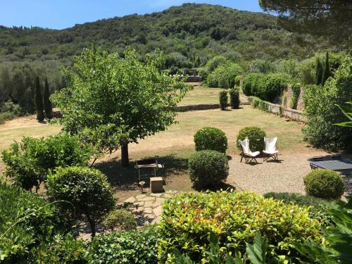 L'Uliveto – Photos 5