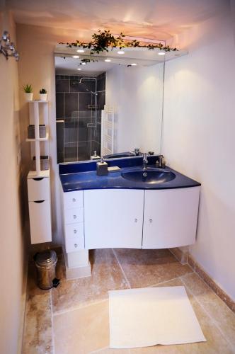 une salle de bain avec un lavabo et un grand miroir dans l'établissement Côté Terrasse, à Apt