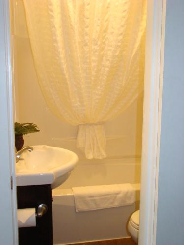 a bathroom with a sink and a toilet and a shower curtain at Paddock Inn in Coleman