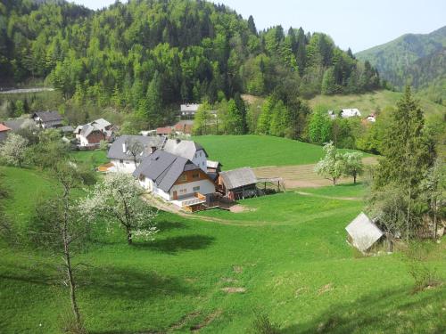 Příroda nedaleko farmy