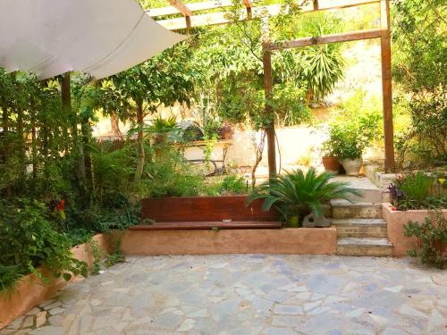 Κήπος έξω από το Stamatina's House