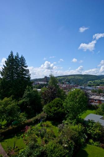 a tree laying on top of a green field at The Mount Guest House in Ludlow