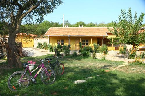 Gallery image of Pelican Birding Guest House in Vetren