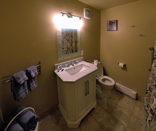 a bathroom with a sink and a toilet at Parkside Inn in Haines Junction