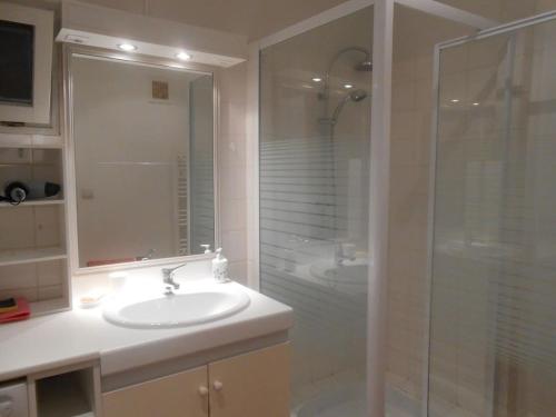 a bathroom with a sink and a glass shower at La Maison de Sennevoy in Sennevoy-le-Bas