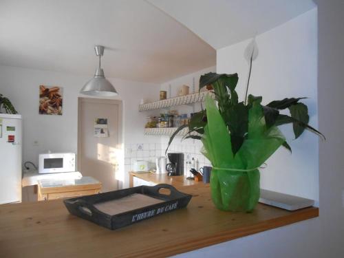 une plante dans un vase assis au-dessus d'une table dans l'établissement La Maison de Sennevoy, à Sennevoy-le-Bas