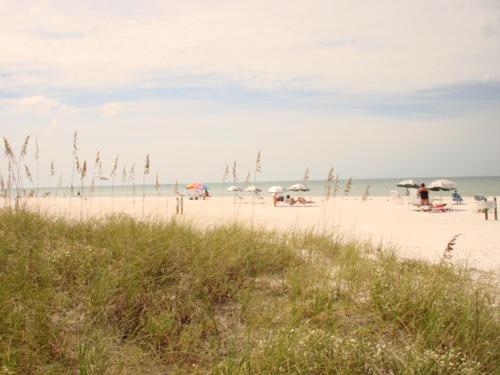a beach with umbrellas and people on the beach at Midnight Cove #714, Bayside in Siesta Key, FL in Siesta Key