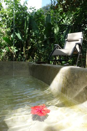 
The swimming pool at or close to Utopia Tica, Sustainable Lodge
