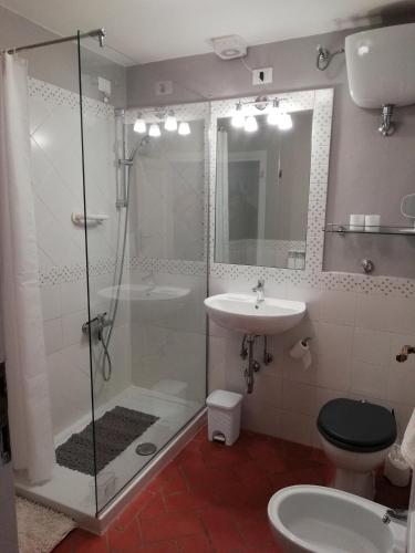 a bathroom with a shower and a sink at Il ghiro in Montevarchi