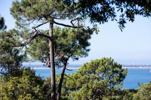 Gallery image of CHISTERA in Pyla-sur-Mer