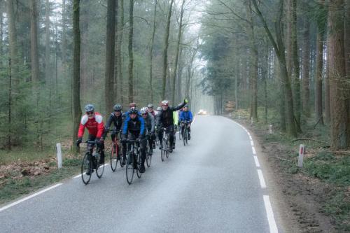 a group of people riding bikes down a road at Kunstenaars Boshuisje Veluwe in Hoenderloo