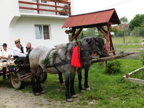 Galeriebild der Unterkunft Pension Ioana Lavita in Vadu Izei