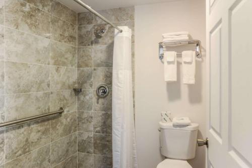 a bathroom with a toilet and a shower at Rodeway Inn in Milford