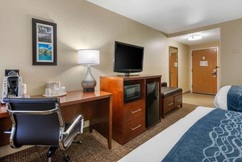 Телевизор и/или развлекательный центр в Comfort Inn Ocala Silver Springs