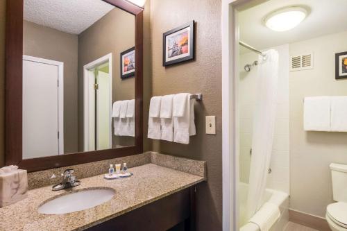 Gallery image of Comfort Inn Roswell-Dunwoody in Roswell