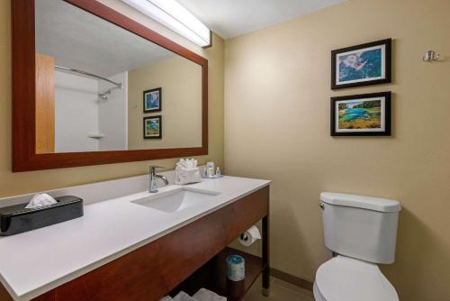 een badkamer met een wastafel, een toilet en een spiegel bij Comfort Inn Ocala Silver Springs in Ocala