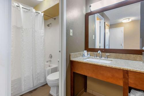 Gallery image of Comfort Inn Memphis Downtown in Memphis