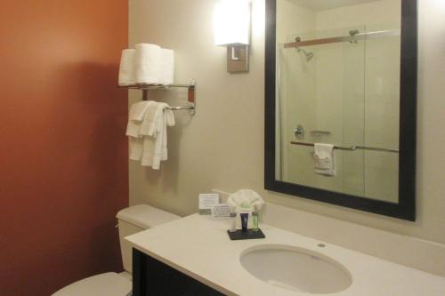 een badkamer met een wastafel, een toilet en een spiegel bij Sleep Inn & Suites Oregon - Madison in Oregon