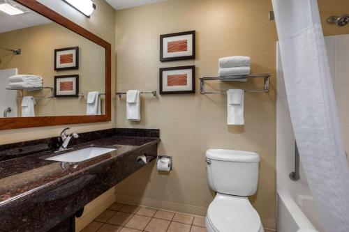 A bathroom at Comfort Inn & Suites Murrieta Temecula Wine Country
