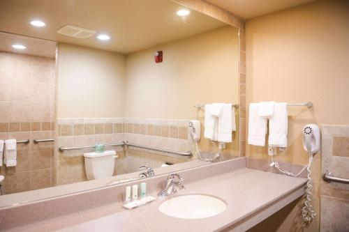 a bathroom with a sink and a toilet at Quality Inn & Suites Ames Conference Center Near ISU Campus in Ames