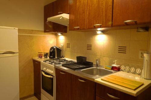 a kitchen with a sink and a stove at Apartament Ducha NO'7 in Toruń