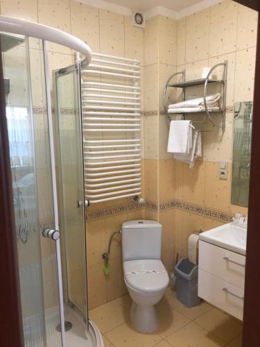 a bathroom with a shower and a toilet and a sink at Hotel Arkadia in Końskie