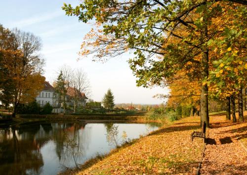 a park with a river and trees and a building at Pałac Czarny Las (50 km od Katowic) in Woźniki