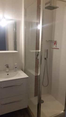 卡布勒通的住宿－Appartement Capbreton / Hossegor，带淋浴和盥洗盆的浴室