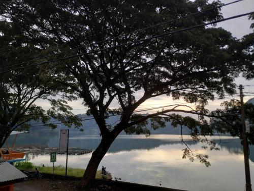a tree in front of a body of water at Hotel "NGEBEL INDAH" in Ngebel