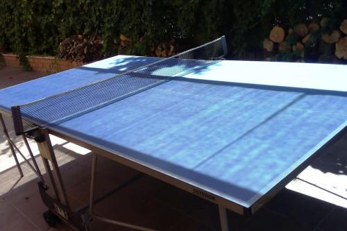 a ping pong table with a blue top on it at Bay Leaves in Jaén