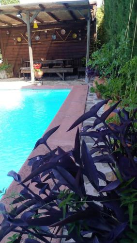 a swimming pool with a bench and some plants at Bay Leaves in Jaén