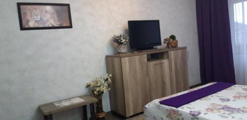 Schlafzimmer mit einem TV auf einem Holzschrank in der Unterkunft Apartment on Kamyanetskaya street in Chmelnyzkyj