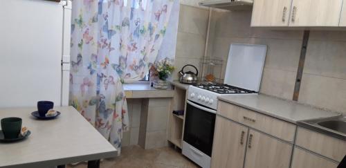 eine kleine Küche mit Herd und Spüle in der Unterkunft Apartment on Kamyanetskaya street in Chmelnyzkyj