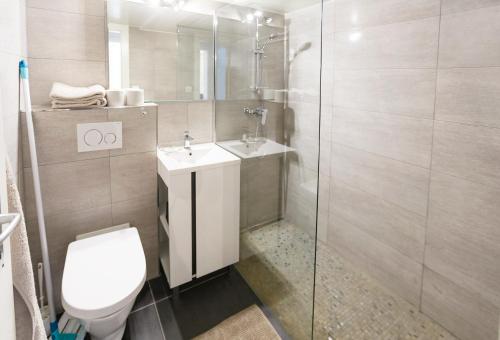 La salle de bains est pourvue de toilettes, d'un lavabo et d'une douche. dans l'établissement Elegant Apartment with Stunning Lake View, à Montreux