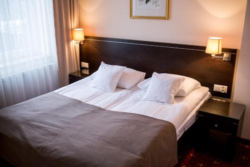 Afbeelding uit fotogalerij van Restauracja Hotel VIP in Działoszyn