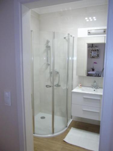 a bathroom with a shower and a sink at Ametiszt Apartman in Hévíz