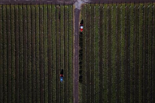 an overhead view of two cars parked in a field at Villa Cavalletti Appartamenti in Grottaferrata