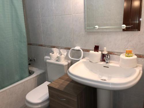 a bathroom with a sink and a toilet and a mirror at Apartamento Centro Historico Teruel in Teruel