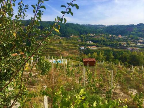 Billede fra billedgalleriet på Quinta do Pêso i Amarante