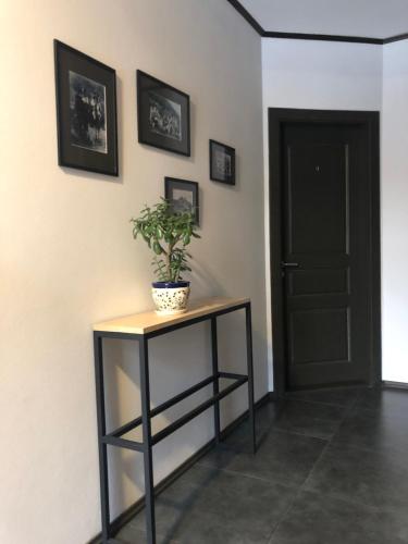 a plant sitting on a table next to a door at Girske Povitria 2 in Yaremche