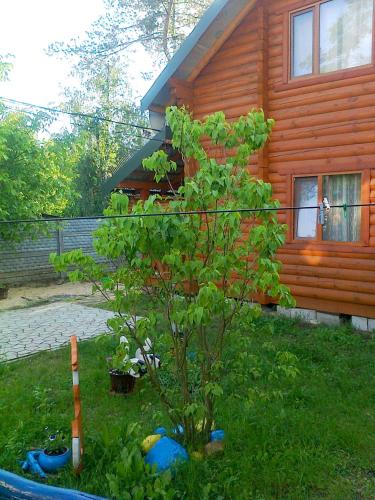 Gallery image of Лісова хатинка in Haivka