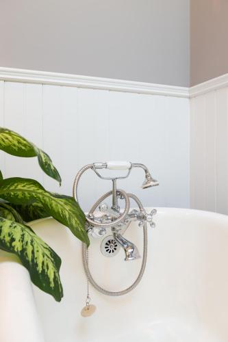 a shower in a bathroom with a plant at Downtown Luxury Victorian Retreat in Toronto