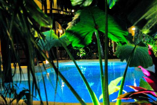 a close up of a swimming pool with a fish at Hotel Boutique TerraNova in Tulum